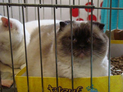 20121021_97 (Expo)